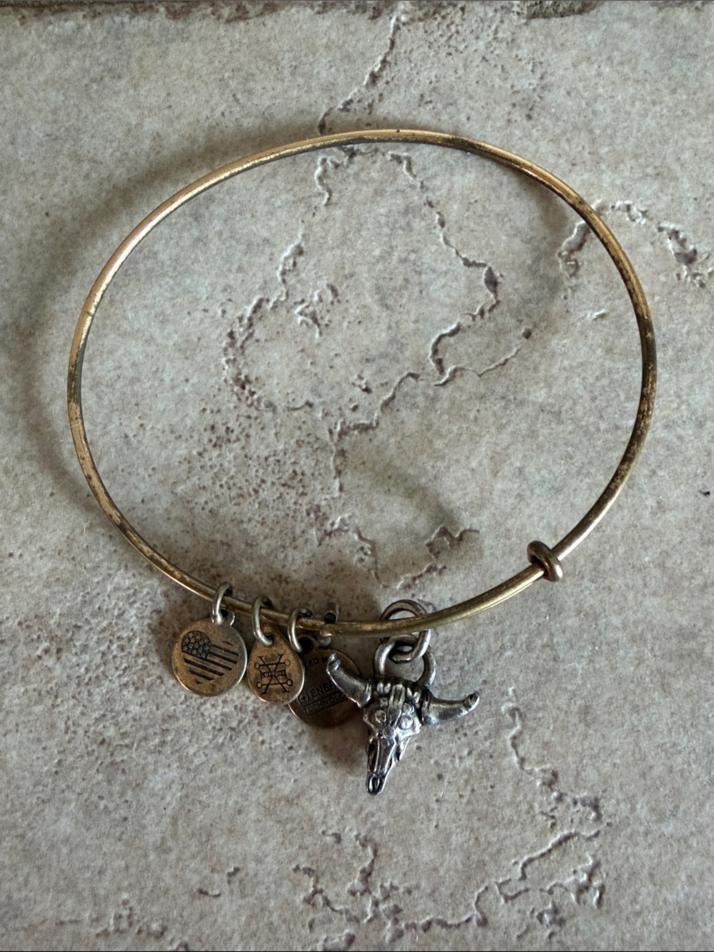 Alex and Ani Gold-Tone Charm Bangle Bracelet with Longhorn Skull